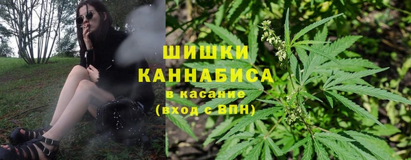 герыч Арсеньев