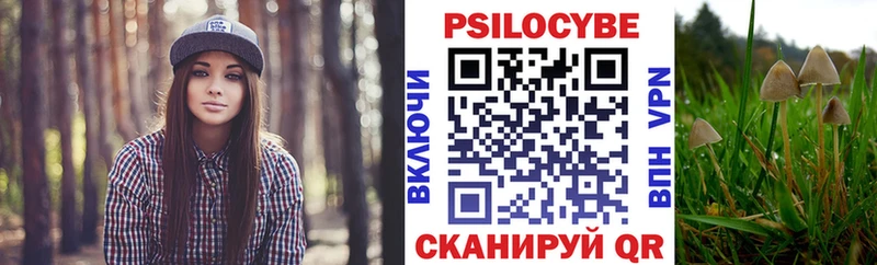 Псилоцибиновые грибы MAGIC MUSHROOMS  Приволжск 